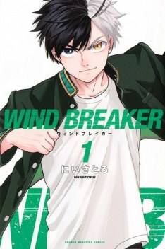 Scan Wind Breaker (Nii Satoru) chapitres